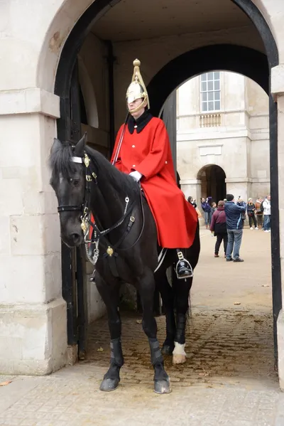 DSC_5591 (Large).JPG